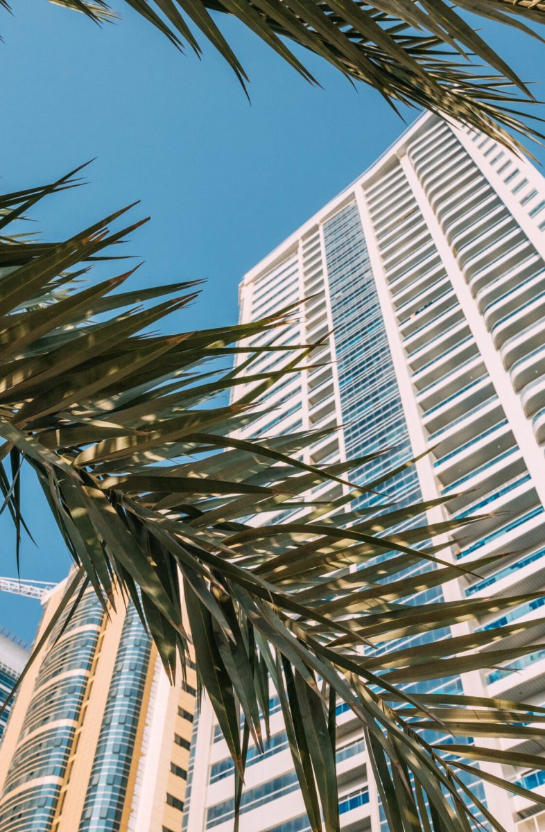 Wall With A Balcony Of New Empty Modern Multi-storey Residential Building House In Residential Area On Sunny Blue Sky Under Palm Branches.